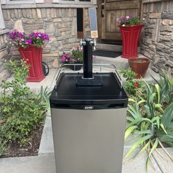 Dual Tap Kegerator