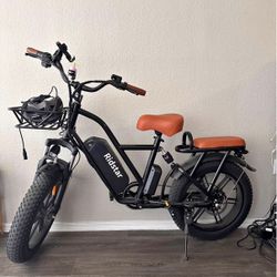 Electric Bike
