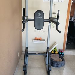 VCR/DIP Exercise Workout Bench