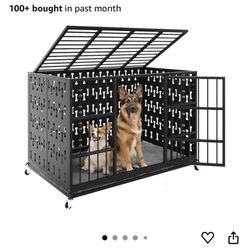 Dog Kennel 