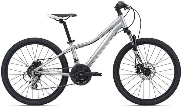Giant Bike Brand