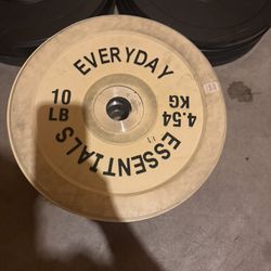 10 pd Plates 