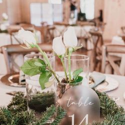 Glass Beakers For Decoration-20