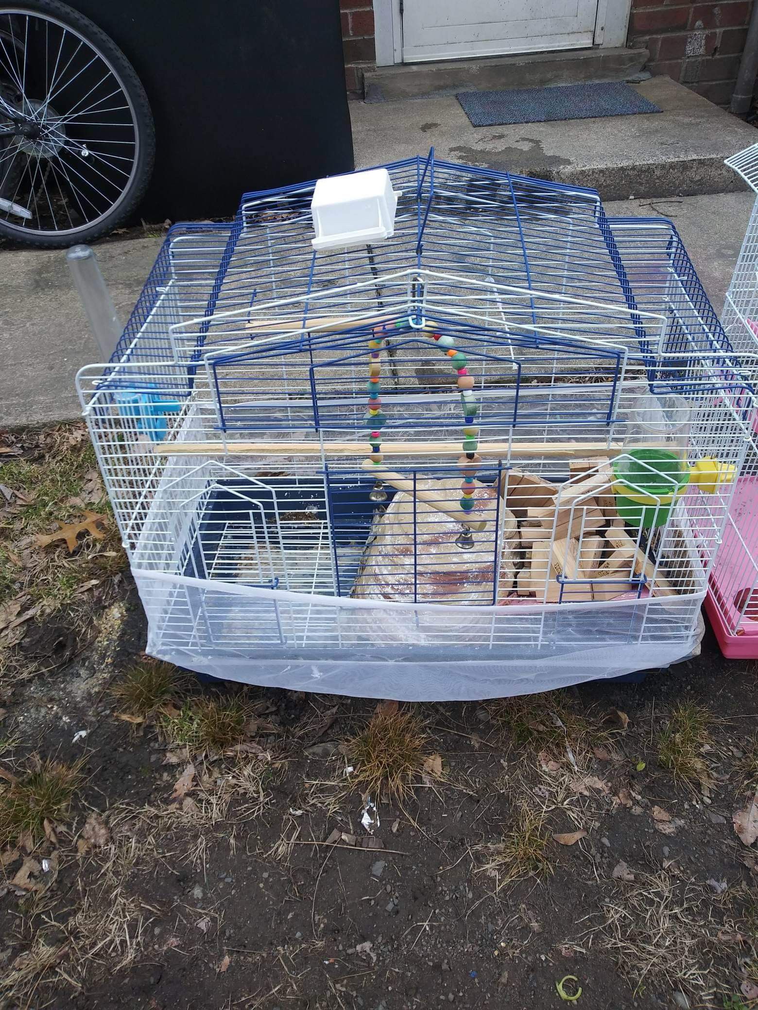Bird and hamster cage