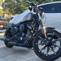 2017 Harley Davidson 883 iron