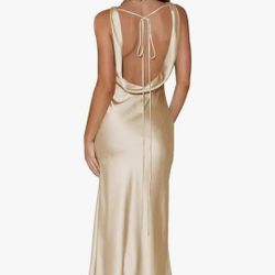 Brand New Champaign Dress