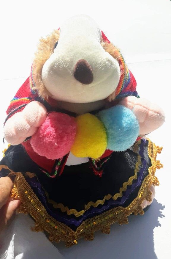 Vintage White Plush Stuffed Animal Toy Gift Colorful Traditional Outfit Clothing Shawl Cute Rainbow Gold Trim Dress

Nice pre-owned condition with nor