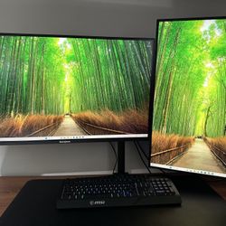 Dual Monitor PC Gaming Setup
