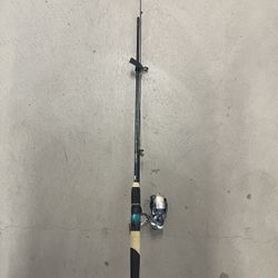 Fishing rod and reel