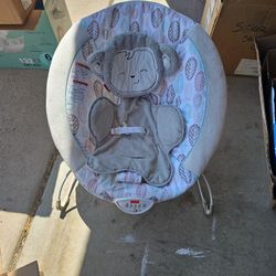 Baby Bouncer