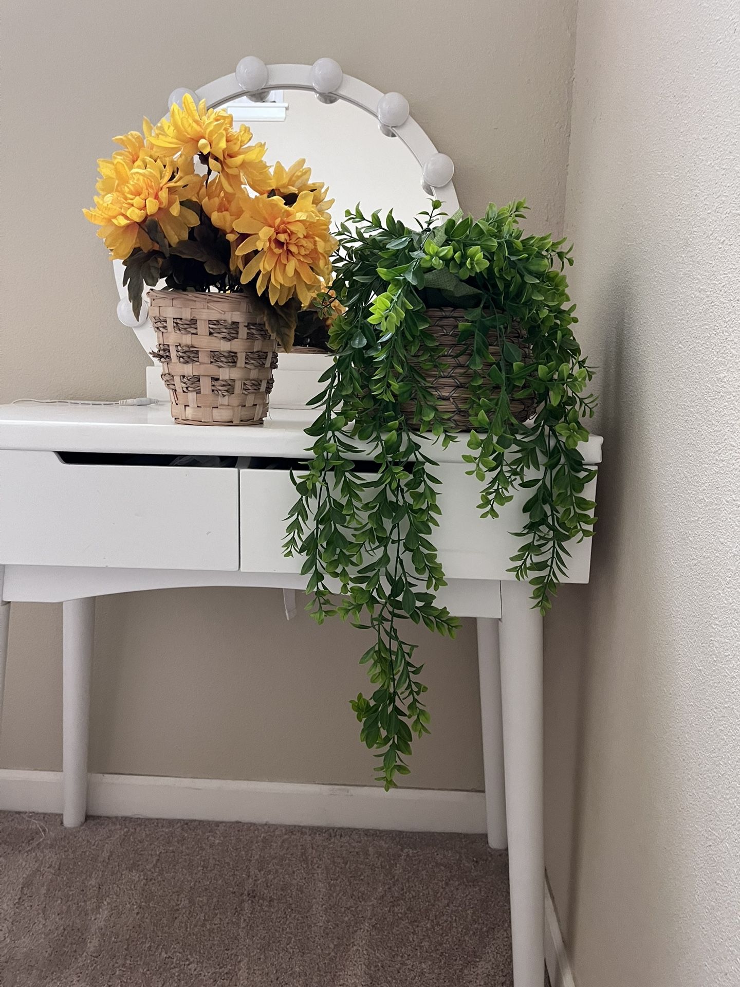 Two Fake Plants 