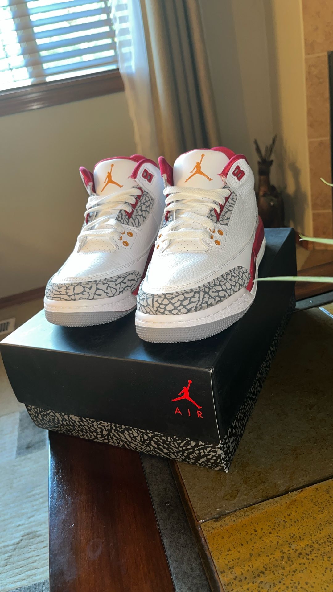 Jordan 3 Cardinal (GS)