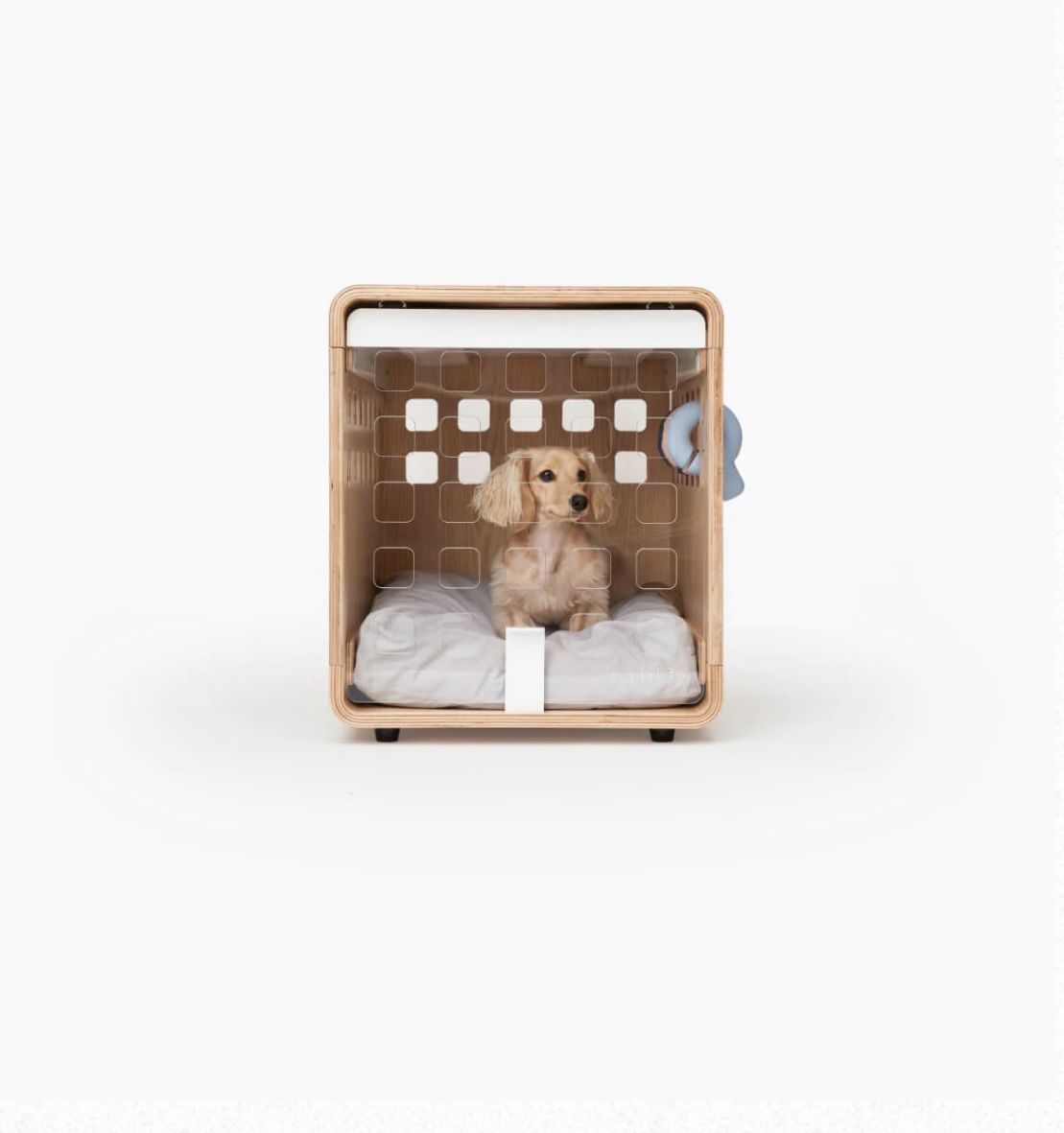Fable Dog Crate With Acrylic Door, Size XS/S (18”x24”)