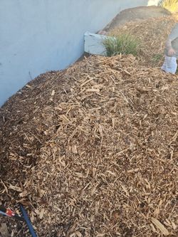 Wood Chips