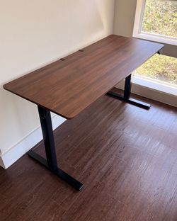 Electric Standing Desk