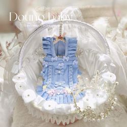 Special Handmade Fancy Blue Spring Princess Style Dress For Pet