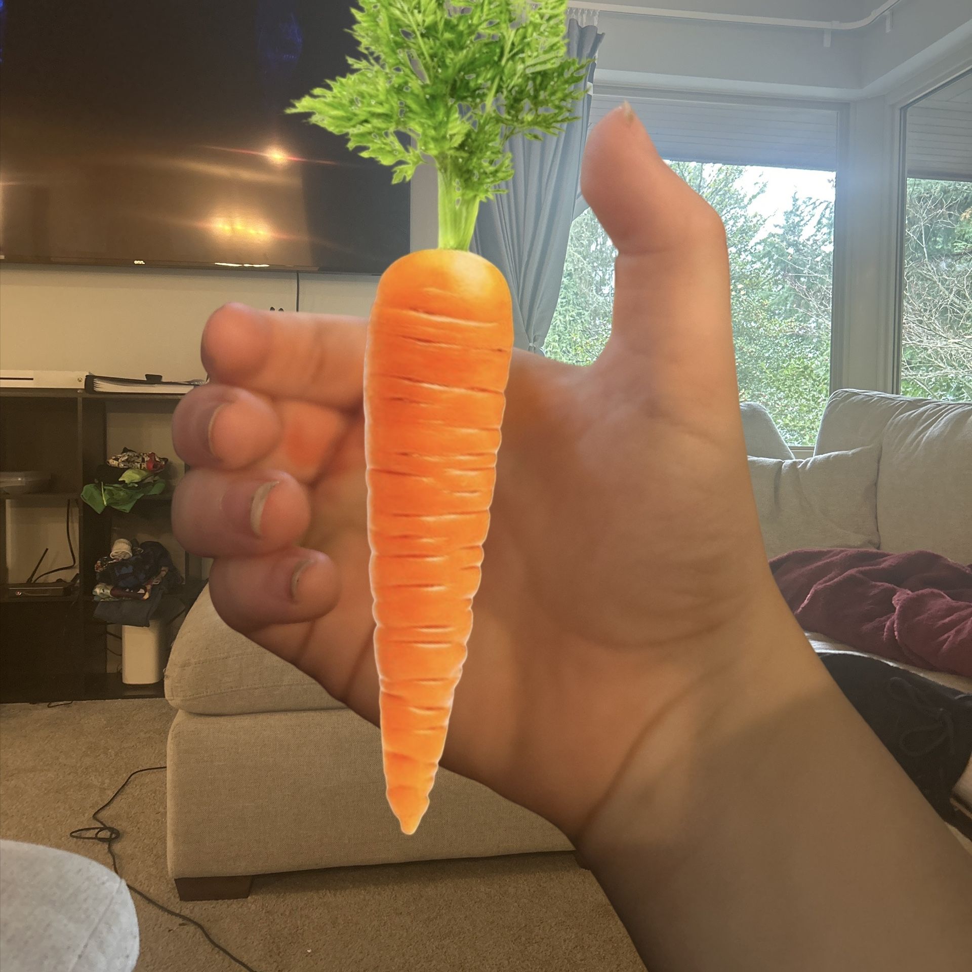 Real Carrot