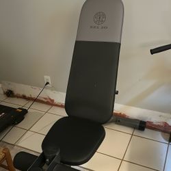 Workout Bench - Gold’s Gym XRS-20
