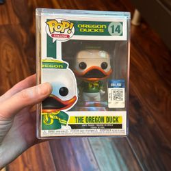 Oregon Ducks Pop