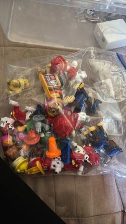 Paw patrol