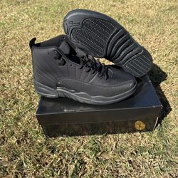 Jordan 12 Winterized Triple Black