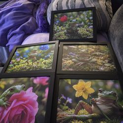 "Frogs With Flowers" Framed prints. Set of 5