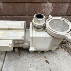 Pentaire Pool Pump (parts Only)