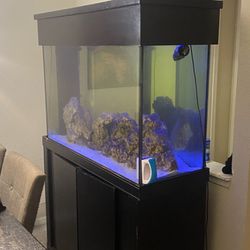 120 Gallons Tank For Sell 