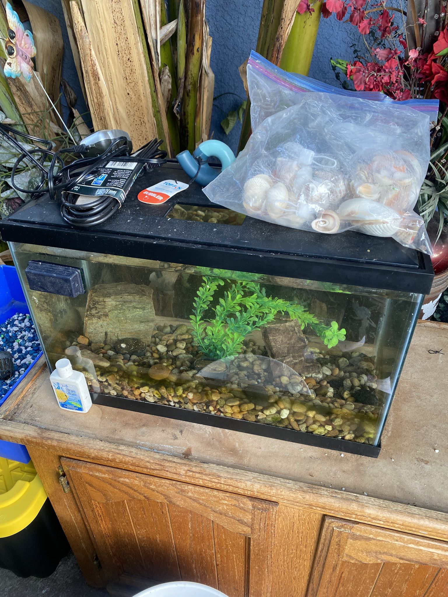 10 Gallon Fish Tank Aquarium