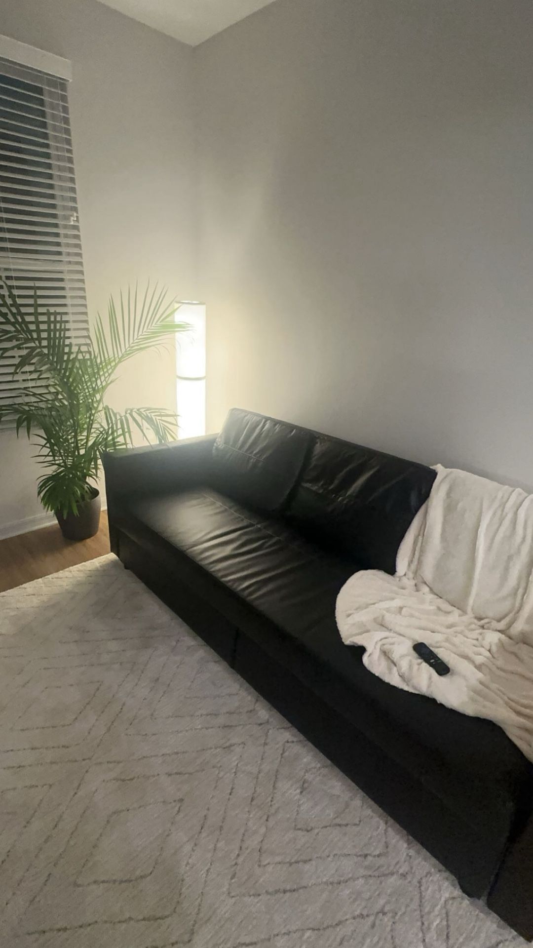Couch Futon