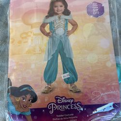 Princess Jasmine Costume