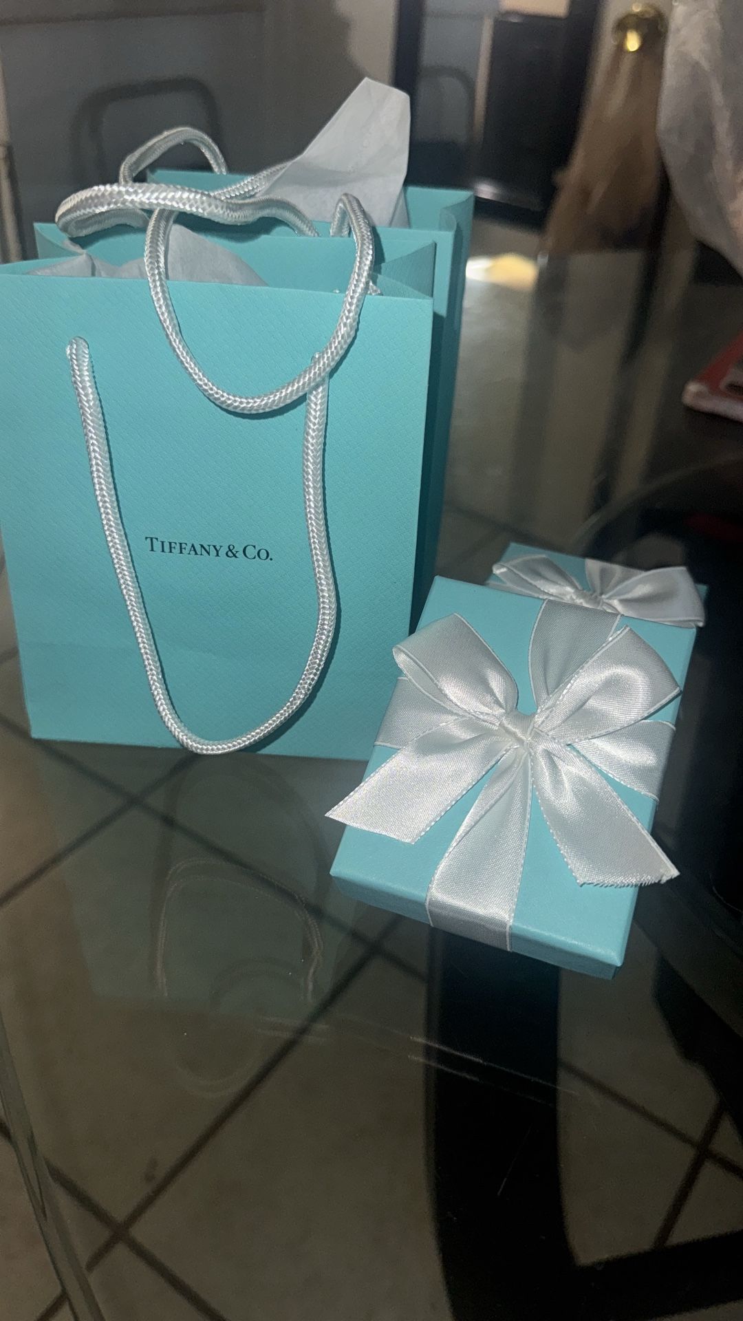 Brand New Tiffany & Co. Chain And Pendant
