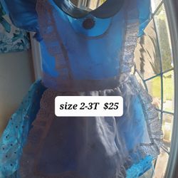 Disney Store Princess Dresses 👸 Different Prices