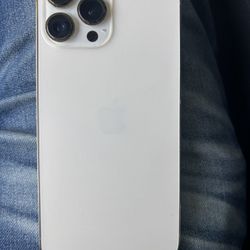 iPhone 13 Pro Max 256GB