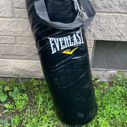 Everlast Punching Bag 