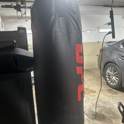 UFC Boxing Bag