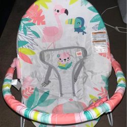 Baby Bouncer 