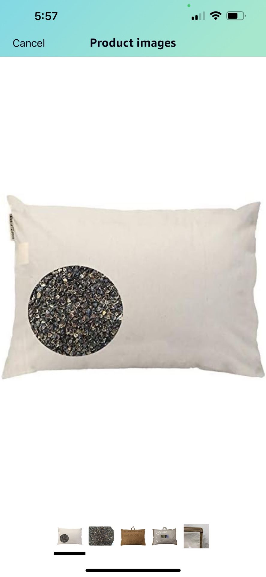 Beans72 Organic Buckwheat Pillow Queen Size (20 inches x 30 inches)