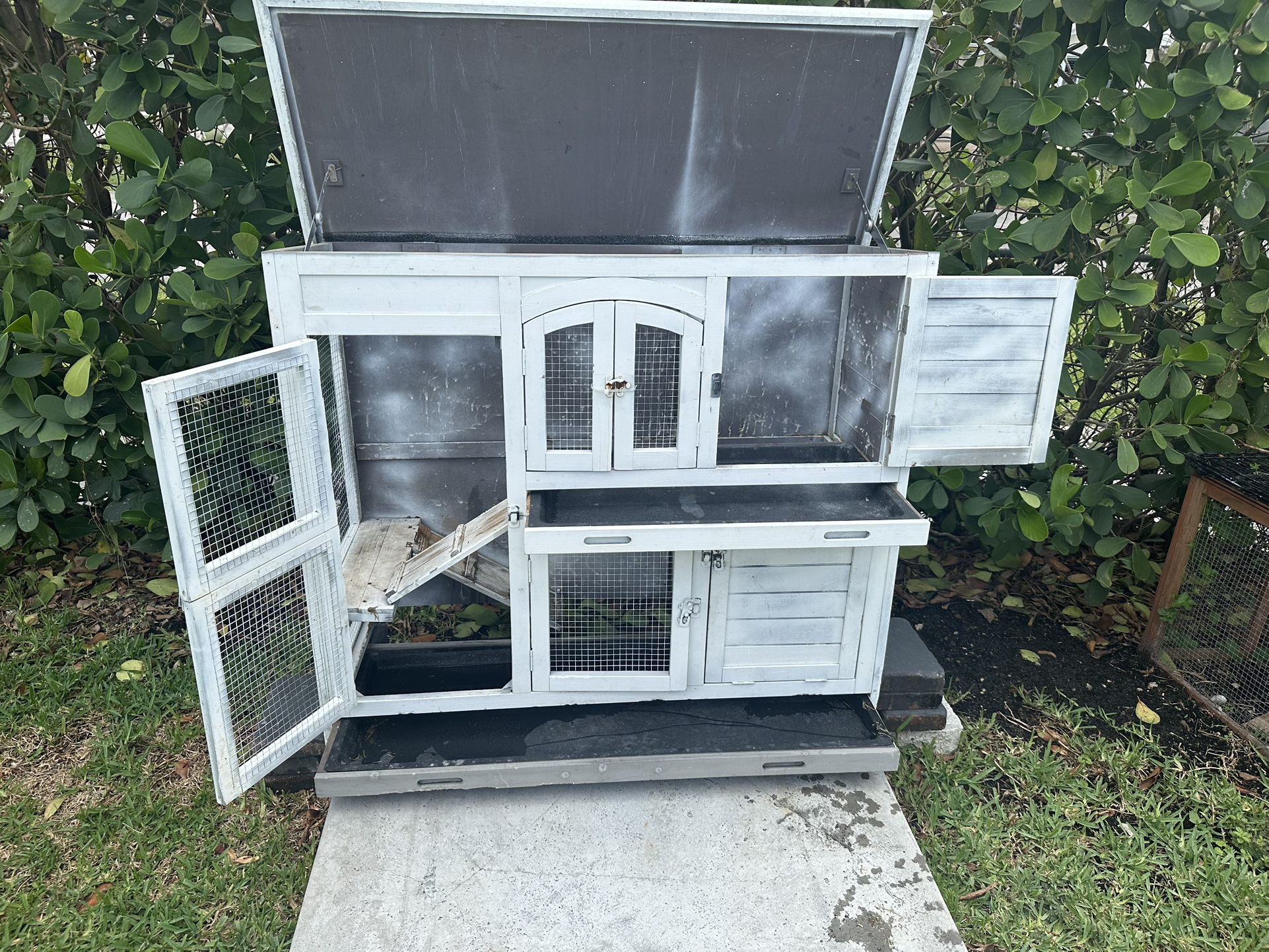 Chicken/ Bunny Coop