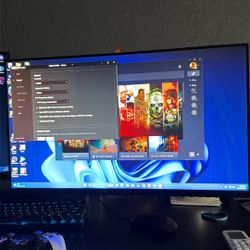 Alienware 240hz 25in monitor 