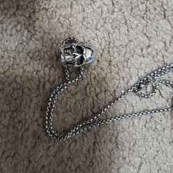 Men's Skull Pendant Necklace With Chain 