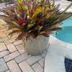Various Pots And Plants And Concrete Table Set