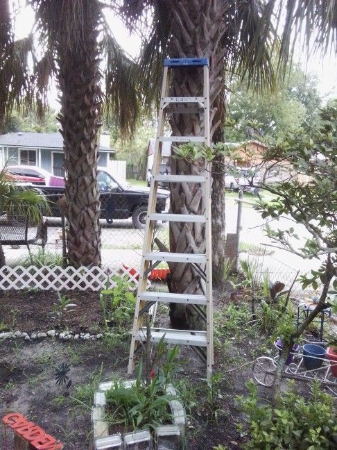 Werner 8ft. H Fiberglass Step Ladder $75