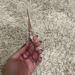 Hairstylist Shears 