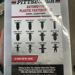 Automotive Plastic Fastener Kit 
