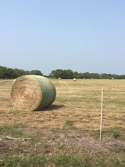 For sale large hay bales clean hay