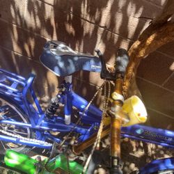 Bycicle Shengle