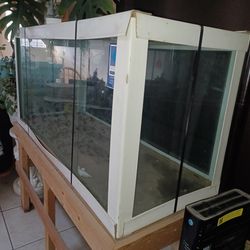 80 Gallon Fish Tank