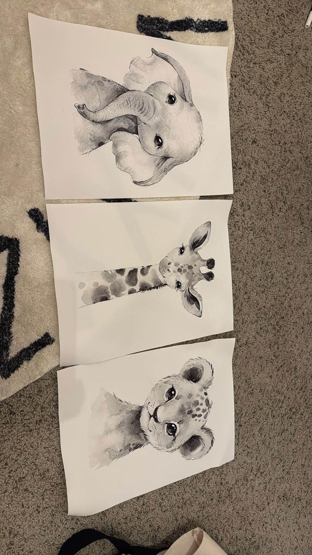 Safari Animal Canvas