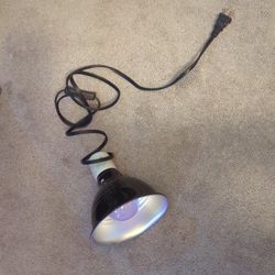 Heat Lamp With Bulb 